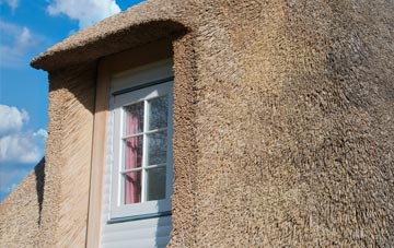 Dunsa thatch roof disadvantages