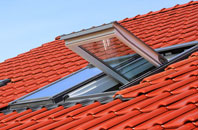 Dunsa roof window
