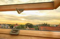 rated Dunsa roof window companies